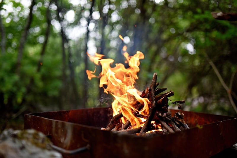 Campfire BBQ