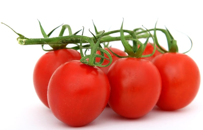 Farm-to-Table Dining